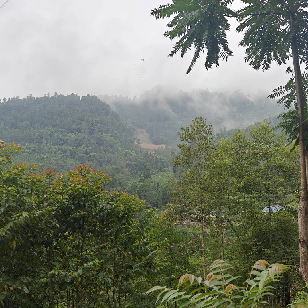 彝乡烟火：雾裹山径旁，无人机待命服务田间事