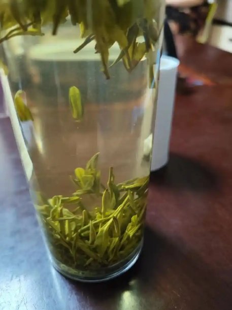 泡茶叶.png