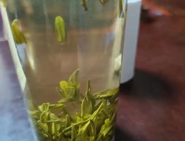 喝茶叶对尿酸有影响吗
