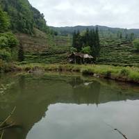 高山避暑