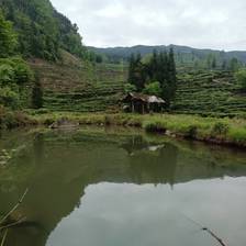 山水相依的梯田茶田 是本土优质茶叶生长的山野馈赠型基底