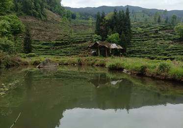 高山避暑