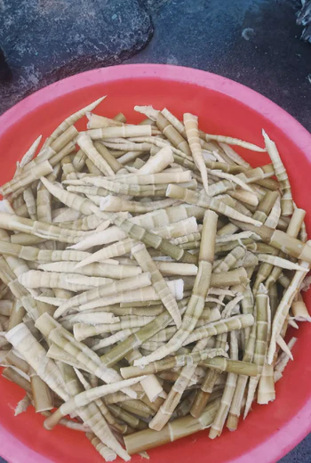 干竹笋和新鲜竹笋区别在哪？老河坝农户说清了口感营养和泡发门道