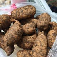 天麻适合什么人群吃？家常食补适配人群详解