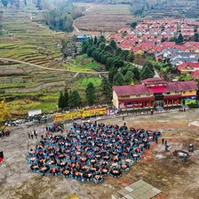 彝族年库施怎么过？杀年猪看脾占卜与坨坨肉拜年全流程