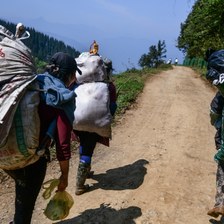 新鲜竹笋怎么挑选？本地人教你八月笋、方竹笋的挑选门道，一眼看出老笋
