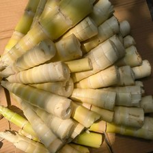 马边特产有哪些｜四川乐山马边彝族自治县高山山货真实口感与产地推荐