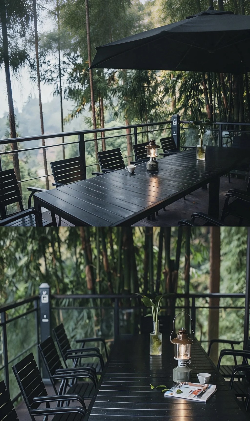 马边云上福来，在茶山云海间，住进彝乡的温柔里