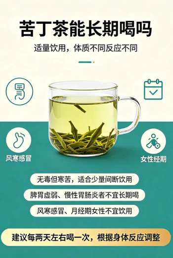 苦丁茶可以长期喝吗？了解体质再决定更安心