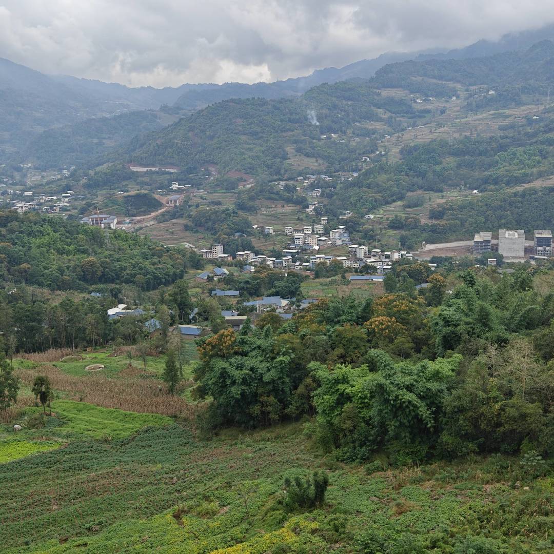 山野田畴全景：云雾漫笼的远山背景下 交错排布的青绿作物与黄韵花田铺展层叠肌理