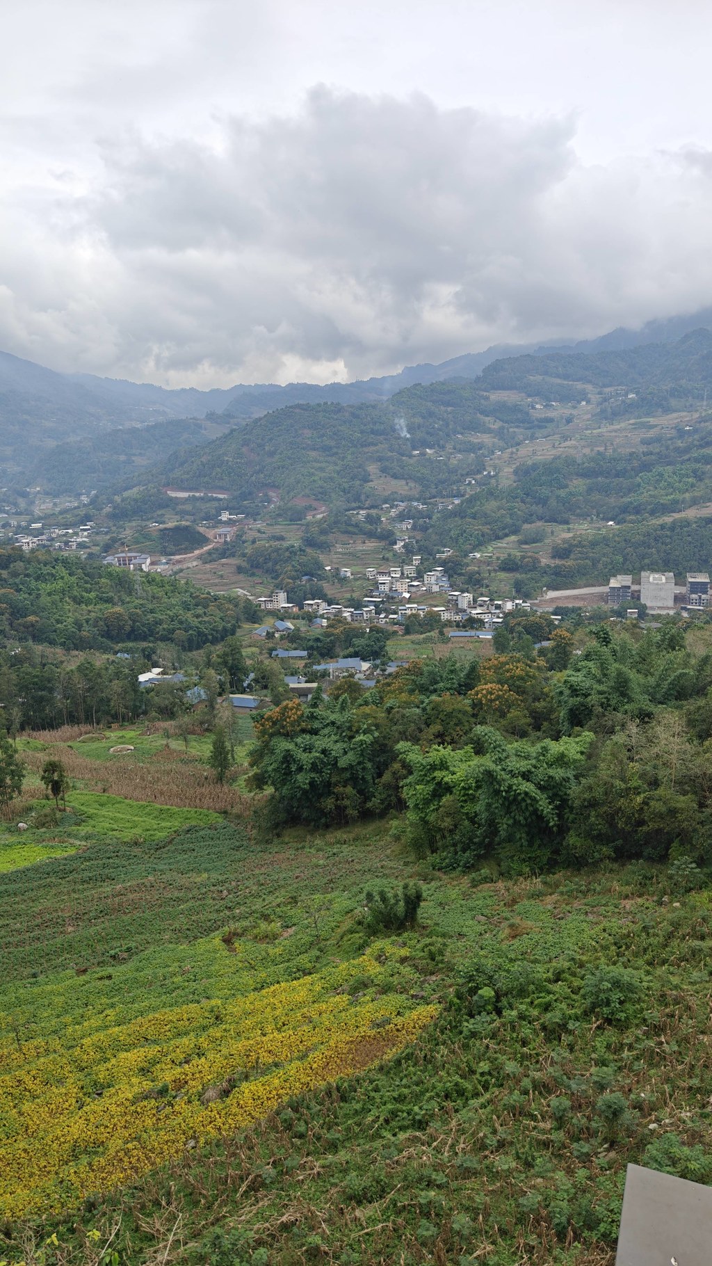 山野田畴全景：云雾漫笼的远山背景下 交错排布的青绿作物与黄韵花田铺展层叠肌理