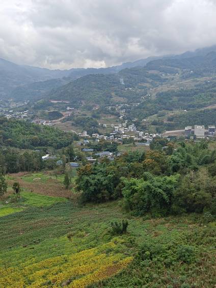 山野田畴全景:云雾漫笼的远山背景下 交错排布的青绿作物与黄韵花田铺展层叠肌理