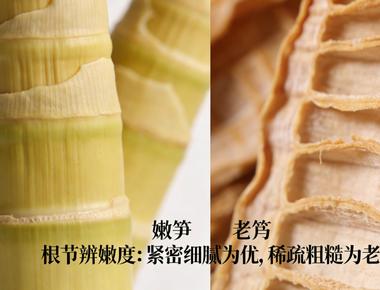 选购笋干必知：四大技巧助你挑到上乘好货