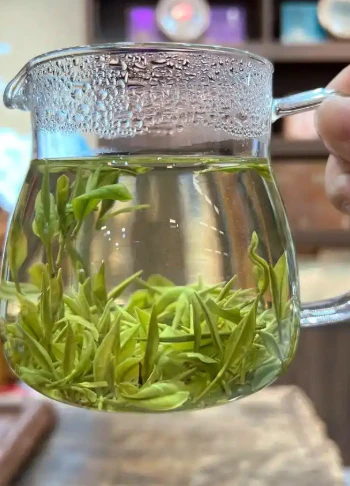 什么样的茶叶是好茶叶？普通人简单分辨方法