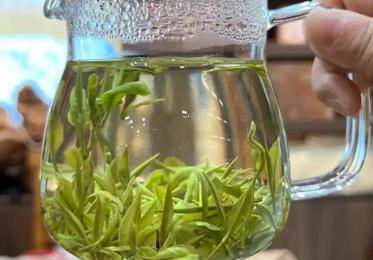 茶叶冲泡
