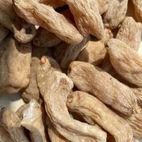 天麻禁忌