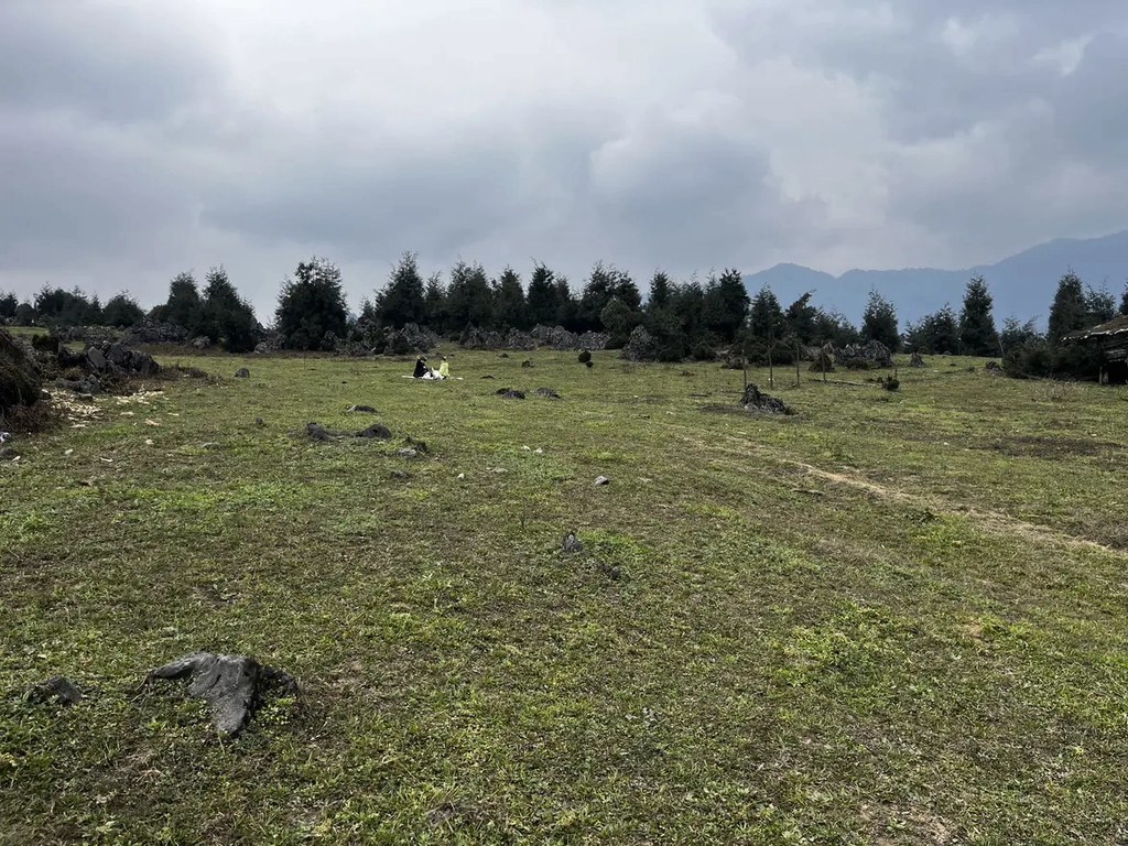马边龚家坪的山野日常与四季风光实拍，既有晴日里草甸如茵、骏马悠然觅食的治愈画面，也有露营野餐、亲子游玩的鲜活瞬间；阴天云雾轻笼的朦胧意境，更衬出这片高山秘境的静谧辽阔，每一幕都藏着小凉山原生态的山野风情与松弛烟火气。