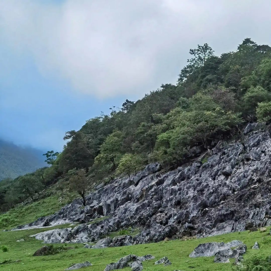 马边仰天窝：石林嶙峋叠草甸，牧牛悠然藏尽山野闲情