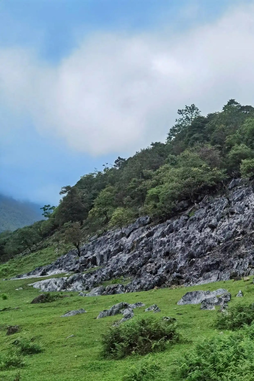 马边仰天窝：石林嶙峋叠草甸，牧牛悠然藏尽山野闲情