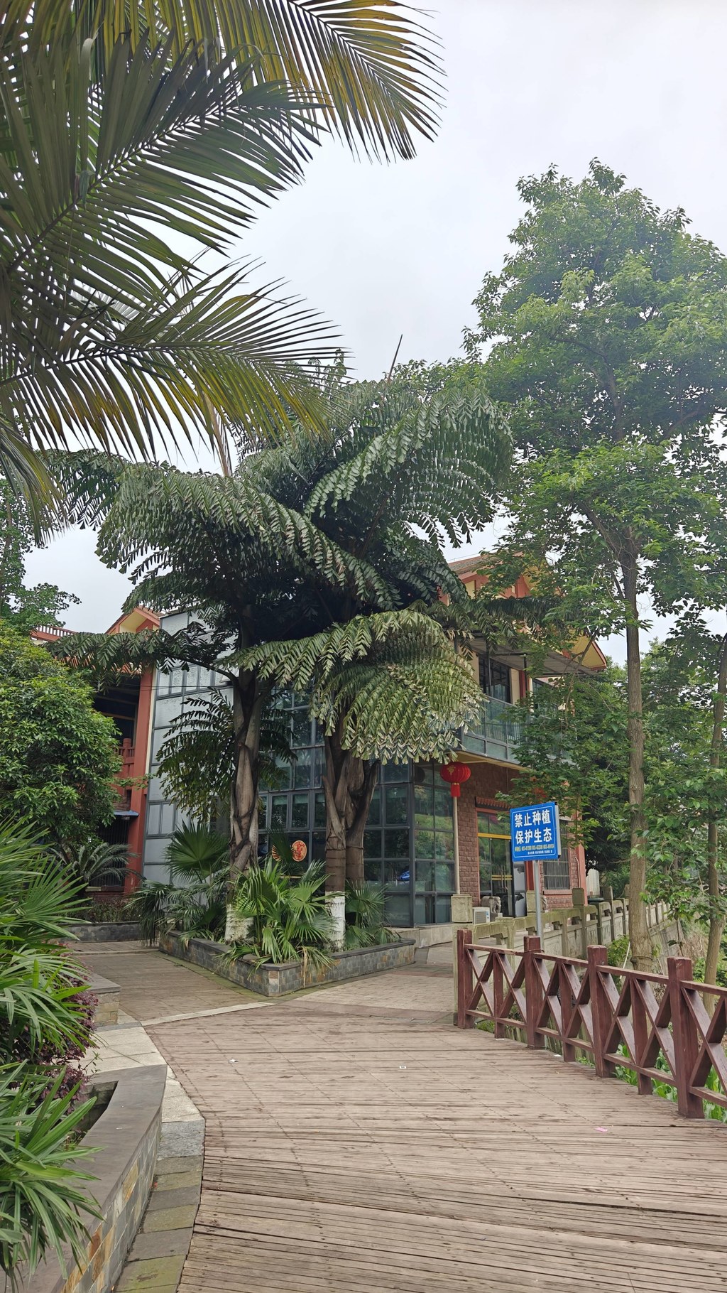 马边人的日常，一半藏在滨河步道，一半藏在熊猫广场。广场边的棕榈树、木栈道，还有刻着 “谦” 字的景观石，把小城的气质拿捏得刚刚好。沿着河边慢慢走，河水映着远山，云雾裹着青山，连风都带着慢悠悠的味道。不用特意找景点，就在熊猫广场周边散散步，吹吹河风，看看石头上的字，感受 “和马边，歌舞洋溢” 的温柔，这就是马边独有的慢生活呀
