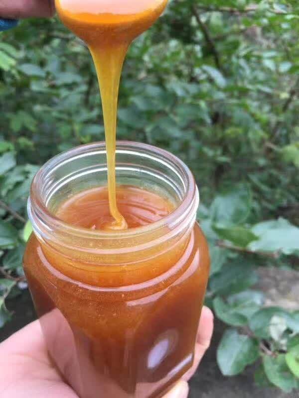 土蜂蜜56.jpg