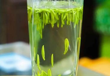 茶叶选购