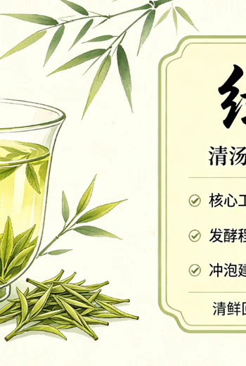 茶叶的种类有哪些？六大茶类特点与泡法全解析