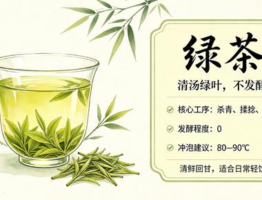 茶叶的种类有哪些？六大茶类特点与泡法全解析