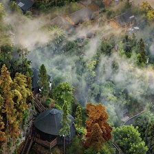 马边云上福来，在茶山云海间，住进彝乡的温柔里
