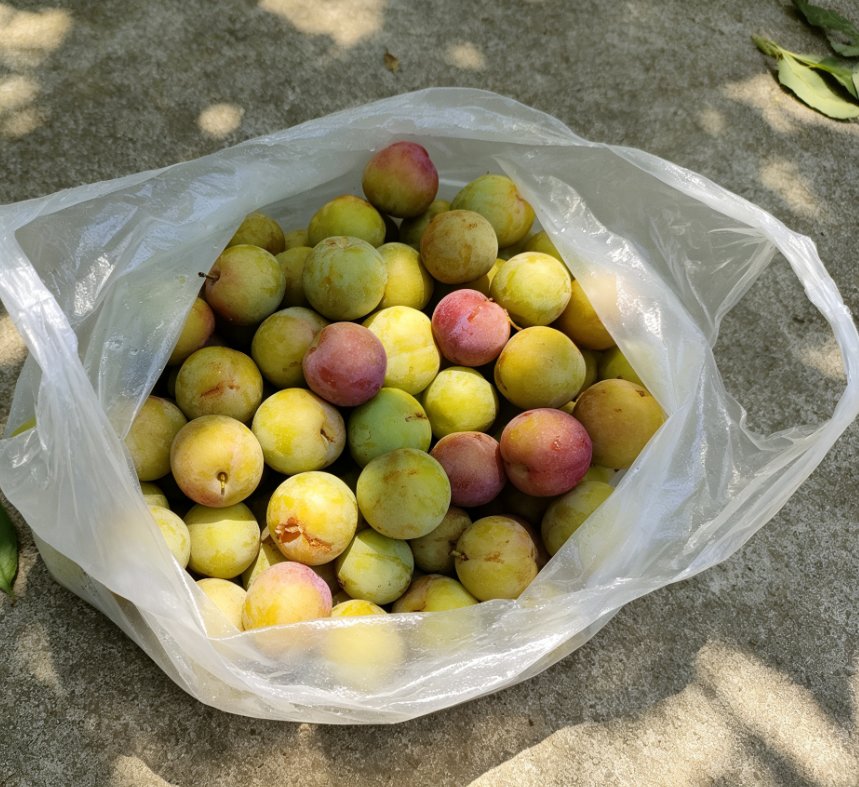 塑料袋里蹭破皮的熟李子.png