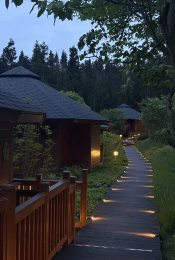 云上福来：马边秘境茶山，邂逅治愈系慢生活
