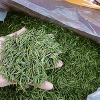 茶叶可以储存多长时间