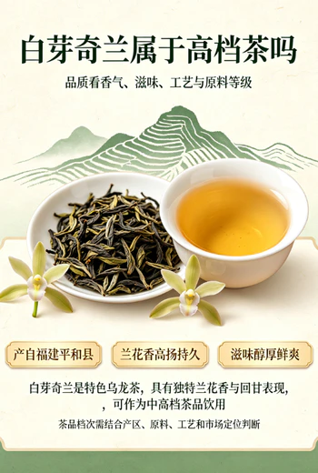 白芽奇兰是高档茶吗？了解这款乌龙茶中的高端茶叶