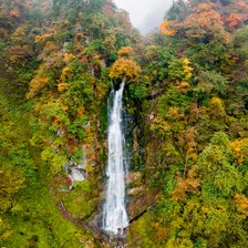 马边金家沟｜山林的秋日与冬日私语