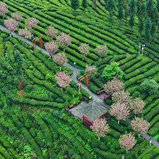 马边最出名三个景点：本地人私藏，第一次去就这么玩
