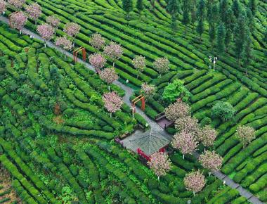 马边最出名三个景点：本地人私藏，第一次去就这么玩