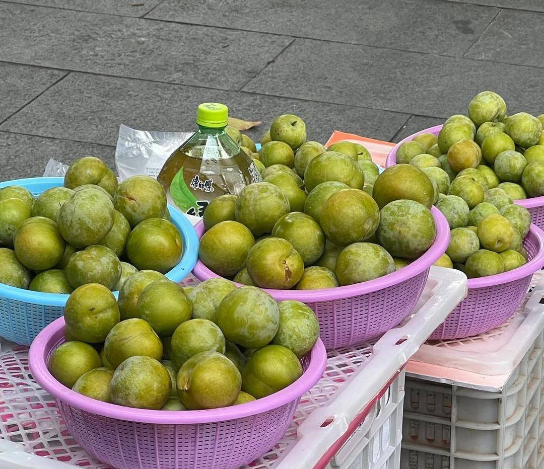 大姐卖的贵州蜂糖李子.jpeg