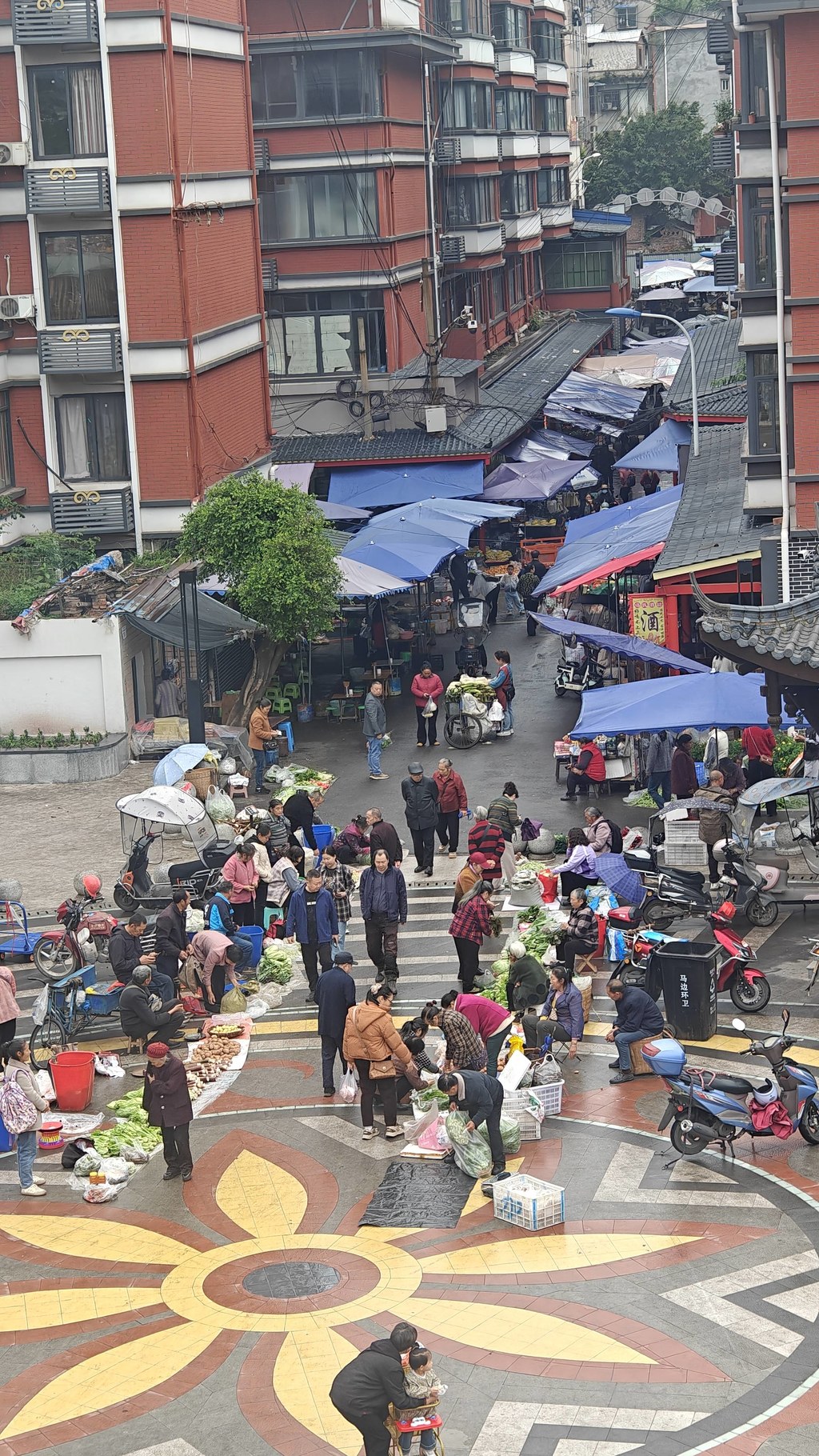 实拍马边老城本土赶集市井画面，依山而建的老城集市，是本地人日常赶场采购的老牌农贸市场。清晨农户背着竹篮、推着小车沿街摆摊，自种高山蔬菜、深山野生笋子、山间时令野果就地售卖，满是淳朴的山城烟火气。背靠满目青翠的山林，临街街巷摆满新鲜农家物产，所有食材都是山里农户当日现采现摘，没有中间商加价，也是马边各类山珍特产的原产地集散集市。来马边游玩必逛本地老街集市，在这里能淘到正宗马边竹笋、山野干货、彝乡农家土货，体验川西小县城原汁原味的赶场民俗。