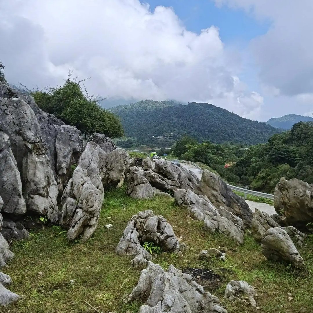马边仰天窝：石林嶙峋叠草甸，牧牛悠然藏尽山野闲情