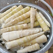 苦竹笋是发物吗｜哪些人不能吃苦竹笋？通俗忌口科普