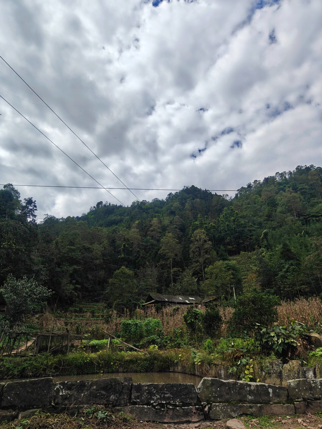 云笼马边彝乡：翠林裹村寨，田塘衬山居