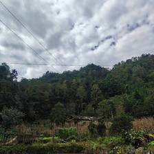 云笼马边彝乡：翠林裹村寨，田塘衬山居