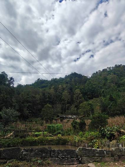 云笼马边彝乡:翠林裹村寨,田塘衬山居