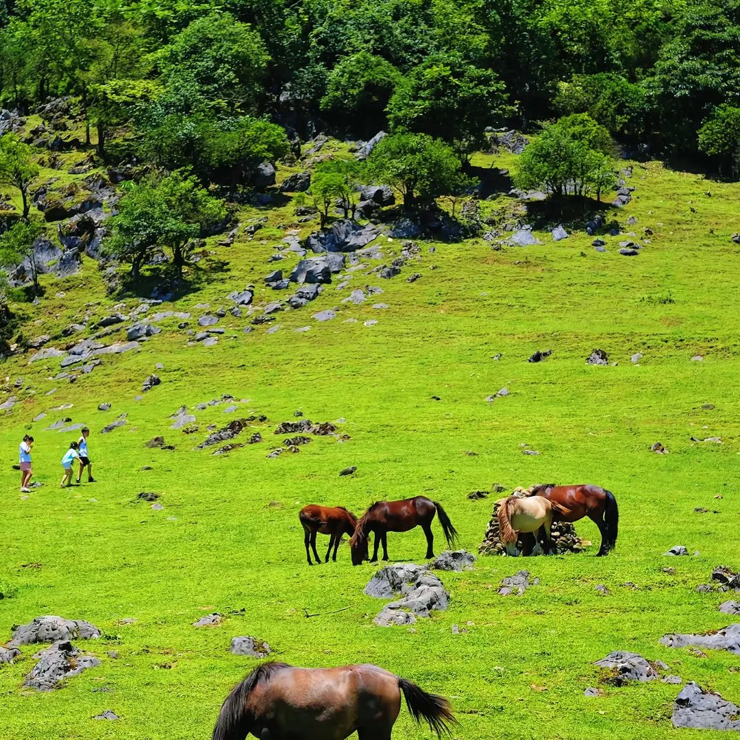 龚家坪g_.webp