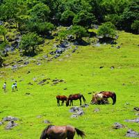 马边龚家坪日出云海 小凉山小众观景秘境