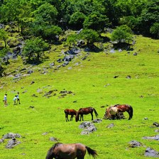 马边龚家坪日出云海 小凉山小众观景秘境