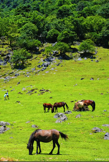 马边龚家坪日出云海 小凉山小众观景秘境