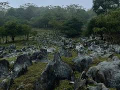 马边仰天窝：草甸石林裹彝风，高山生态藏着共生的野趣宝藏
