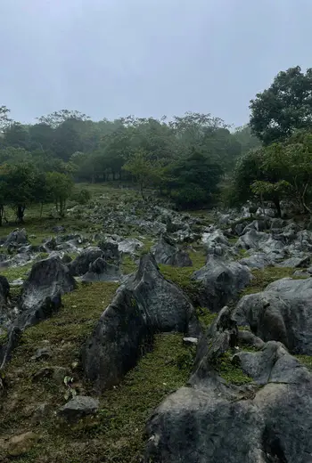 马边仰天窝：草甸石林裹彝风，高山生态藏着共生的野趣宝藏