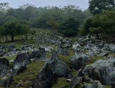 马边仰天窝：草甸石林裹彝风，高山生态藏着共生的野趣宝藏